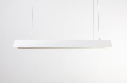 Suspended Lamp MISALLIANCE | EX RAL