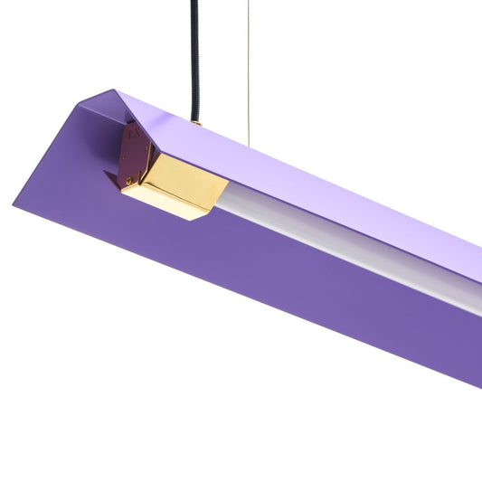 Suspended Lamp MISALLIANCE | EX RAL